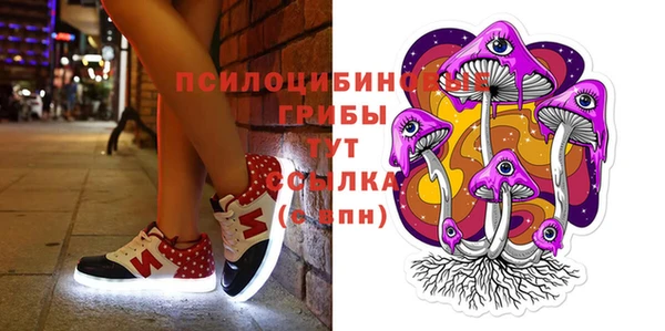 PSILOCYBIN Балабаново