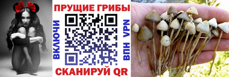 Псилоцибиновые грибы ЛСД  Новоульяновск 